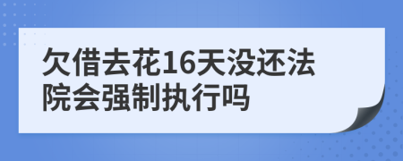 欠借去花16天没还法院会强制执行吗