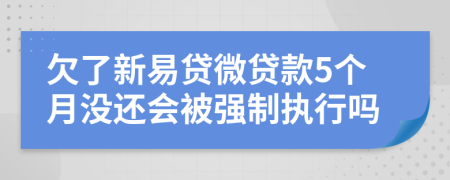 欠了新易贷微贷款5个月没还会被强制执行吗