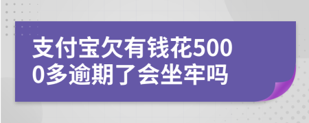 支付宝欠有钱花5000多逾期了会坐牢吗