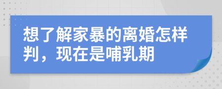 想了解家暴的离婚怎样判，现在是哺乳期
