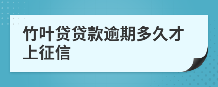 竹叶贷贷款逾期多久才上征信