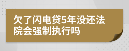 欠了闪电贷5年没还法院会强制执行吗