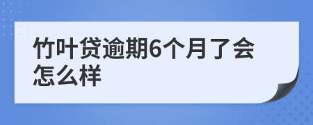 竹叶贷逾期6个月了会怎么样