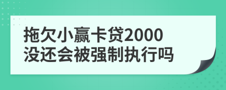 拖欠小赢卡贷2000没还会被强制执行吗