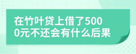 在竹叶贷上借了5000元不还会有什么后果