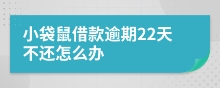 小袋鼠借款逾期22天不还怎么办