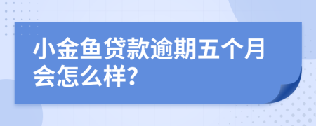 小金鱼贷款逾期五个月会怎么样？