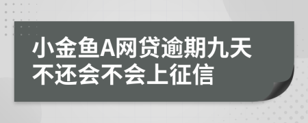 小金鱼A网贷逾期九天不还会不会上征信