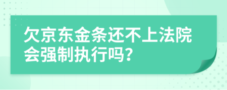 欠京东金条还不上法院会强制执行吗？