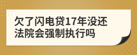 欠了闪电贷17年没还法院会强制执行吗