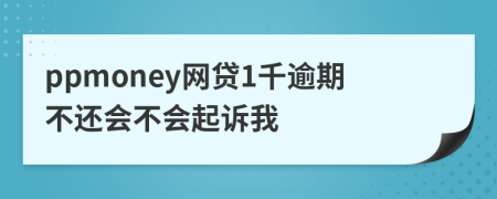 ppmoney网贷1千逾期不还会不会起诉我