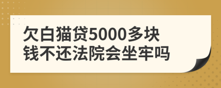 欠白猫贷5000多块钱不还法院会坐牢吗