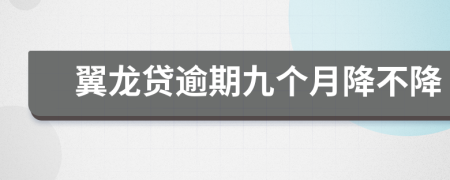 翼龙贷逾期九个月降不降