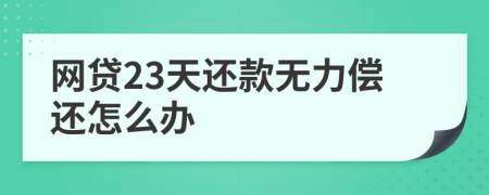 网贷23天还款无力偿还怎么办