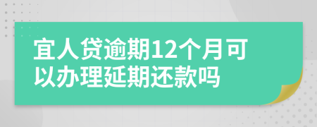 宜人贷逾期12个月可以办理延期还款吗