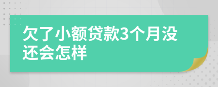 欠了小额贷款3个月没还会怎样
