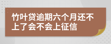 竹叶贷逾期六个月还不上了会不会上征信