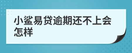 小鲨易贷逾期还不上会怎样