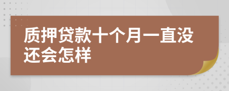 质押贷款十个月一直没还会怎样