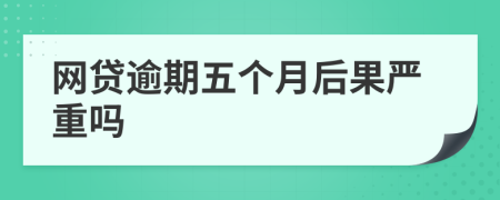 网贷逾期五个月后果严重吗