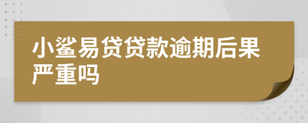 小鲨易贷贷款逾期后果严重吗