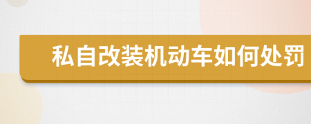 私自改装机动车如何处罚