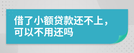 借了小额贷款还不上，可以不用还吗