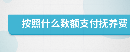 按照什么数额支付抚养费