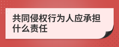 共同侵权行为人应承担什么责任