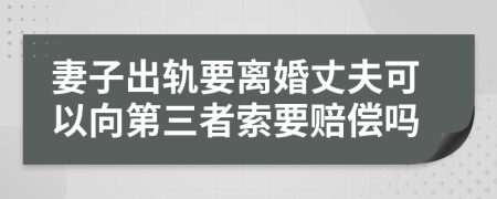妻子出轨要离婚丈夫可以向第三者索要赔偿吗