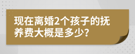 现在离婚2个孩子的抚养费大概是多少？
