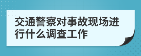 交通警察对事故现场进行什么调查工作