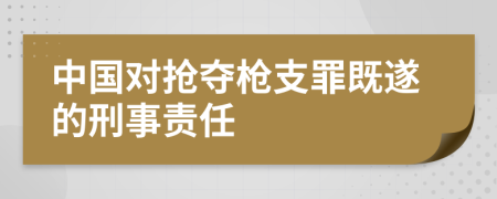 中国对抢夺枪支罪既遂的刑事责任