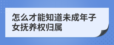 怎么才能知道未成年子女抚养权归属