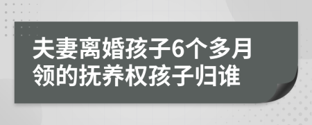 夫妻离婚孩子6个多月领的抚养权孩子归谁