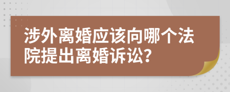 涉外离婚应该向哪个法院提出离婚诉讼？