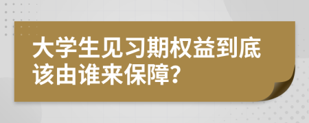 大学生见习期权益到底该由谁来保障？