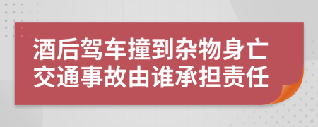 酒后驾车撞到杂物身亡交通事故由谁承担责任