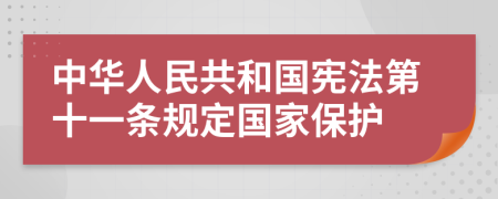 中华人民共和国宪法第十一条规定国家保护