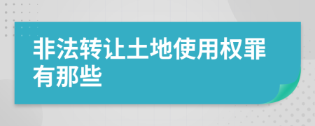 非法转让土地使用权罪有那些