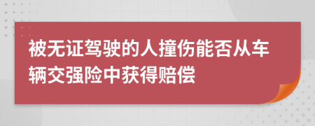 被无证驾驶的人撞伤能否从车辆交强险中获得赔偿