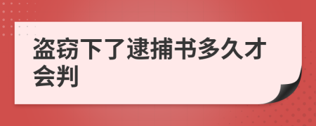 盗窃下了逮捕书多久才会判