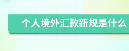 个人境外汇款新规是什么