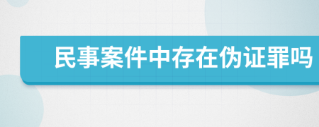 民事案件中存在伪证罪吗