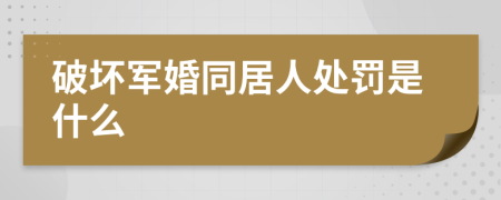 破坏军婚同居人处罚是什么