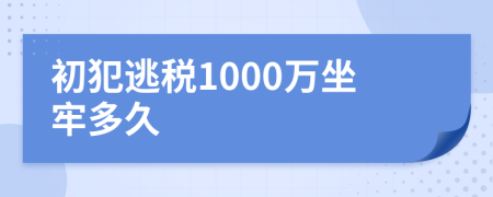 初犯逃税1000万坐牢多久