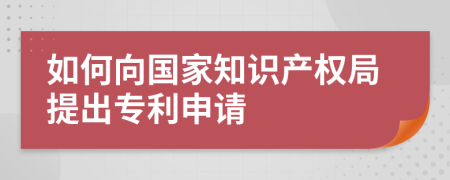 如何向国家知识产权局提出专利申请