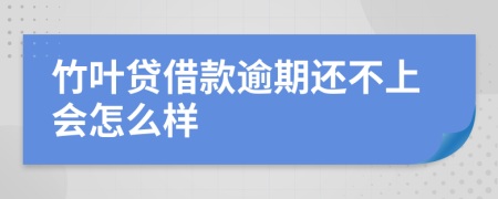 竹叶贷借款逾期还不上会怎么样