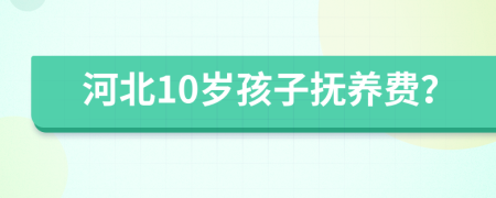 河北10岁孩子抚养费？