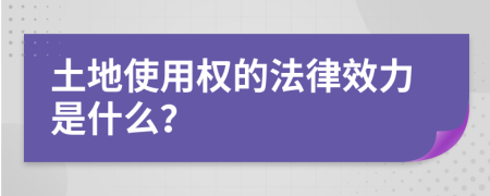 土地使用权的法律效力是什么？